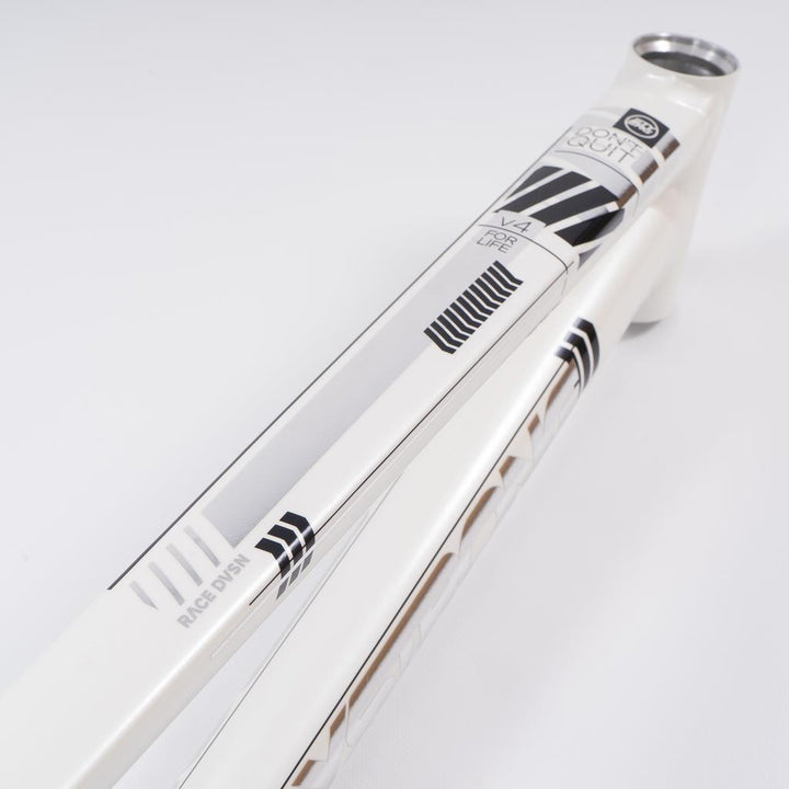 Stay Strong For Life 2023 V4 Expert Race Frame - Disc Version