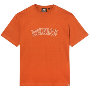 Dickies Union Springs T-Shirt - Gingerbread