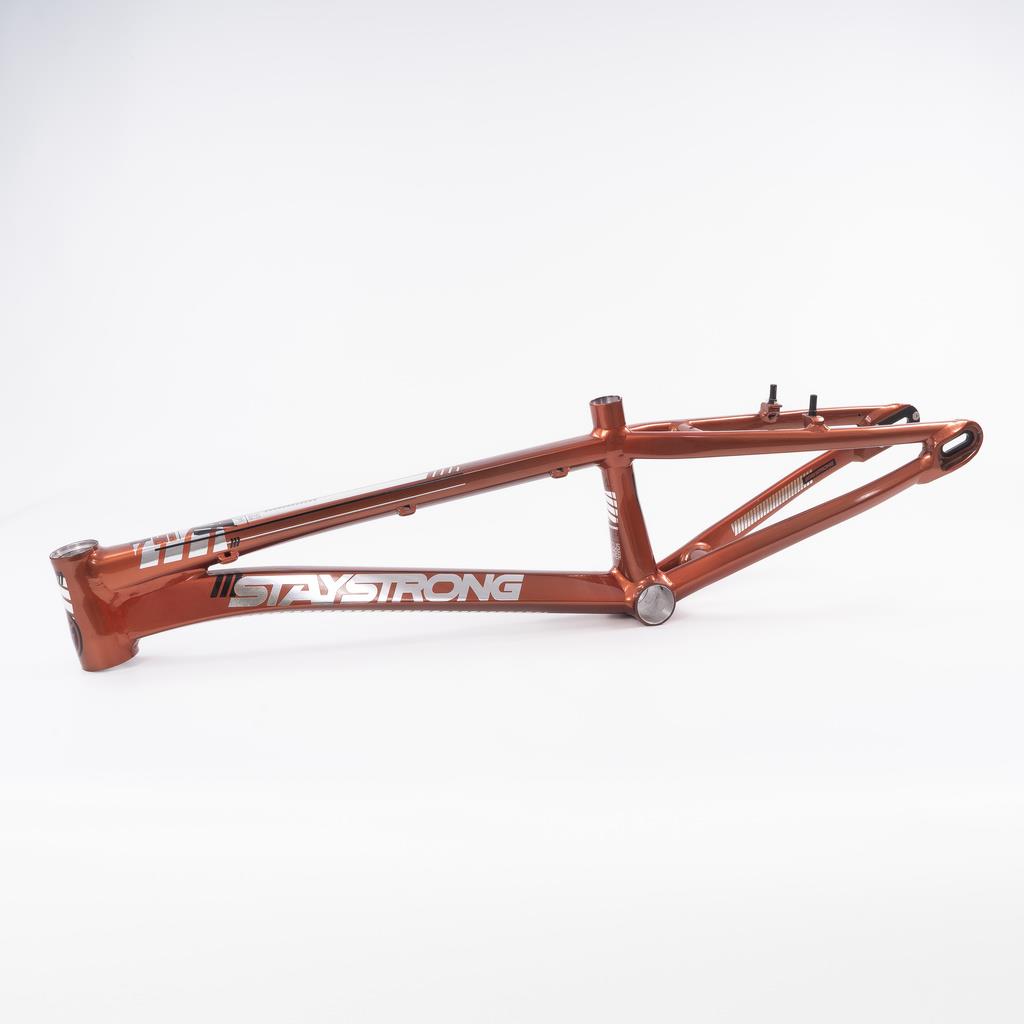 Stay Strong For Life 2023 V4 Pro Race Frame