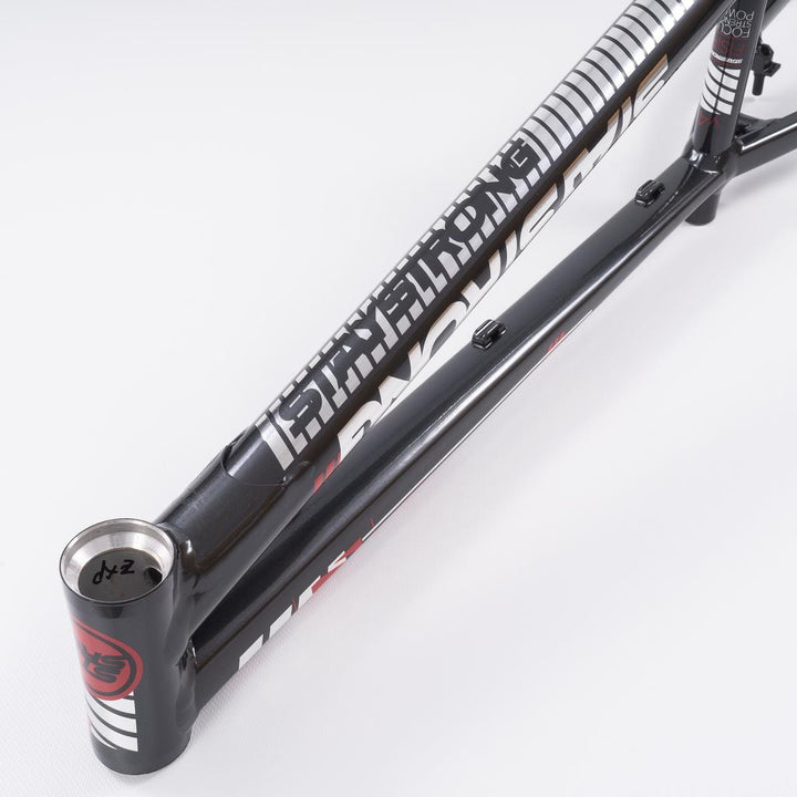 Stay Strong For Life 2023 V4 Cruiser Expert XL Race Frame