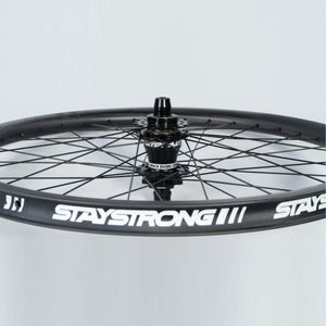 Stay Strong Carbon 24" Disc 1.75" Wheelset