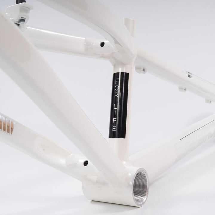 Stay Strong For Life 2023 V4 Junior Race Frame