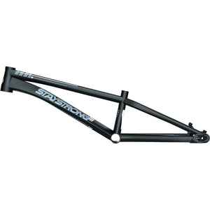 Stay Strong For Life V4 Expert Race Frame